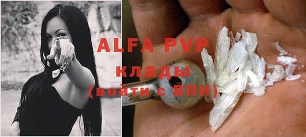 шишки Алзамай