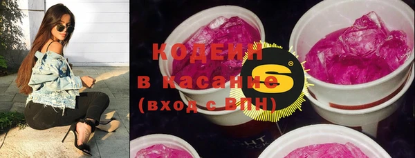 шишки Алзамай
