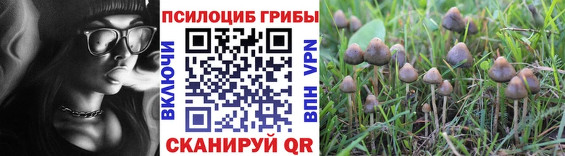 даркнет сайт  Певек  Галлюциногенные грибы Magic Shrooms 